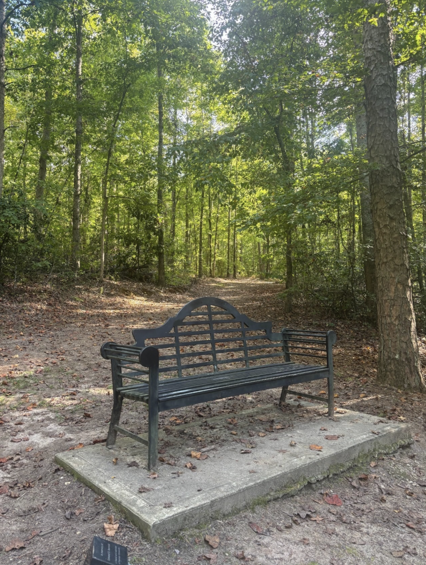 Iron bench on a stone slab in a sunlit forest clearing
