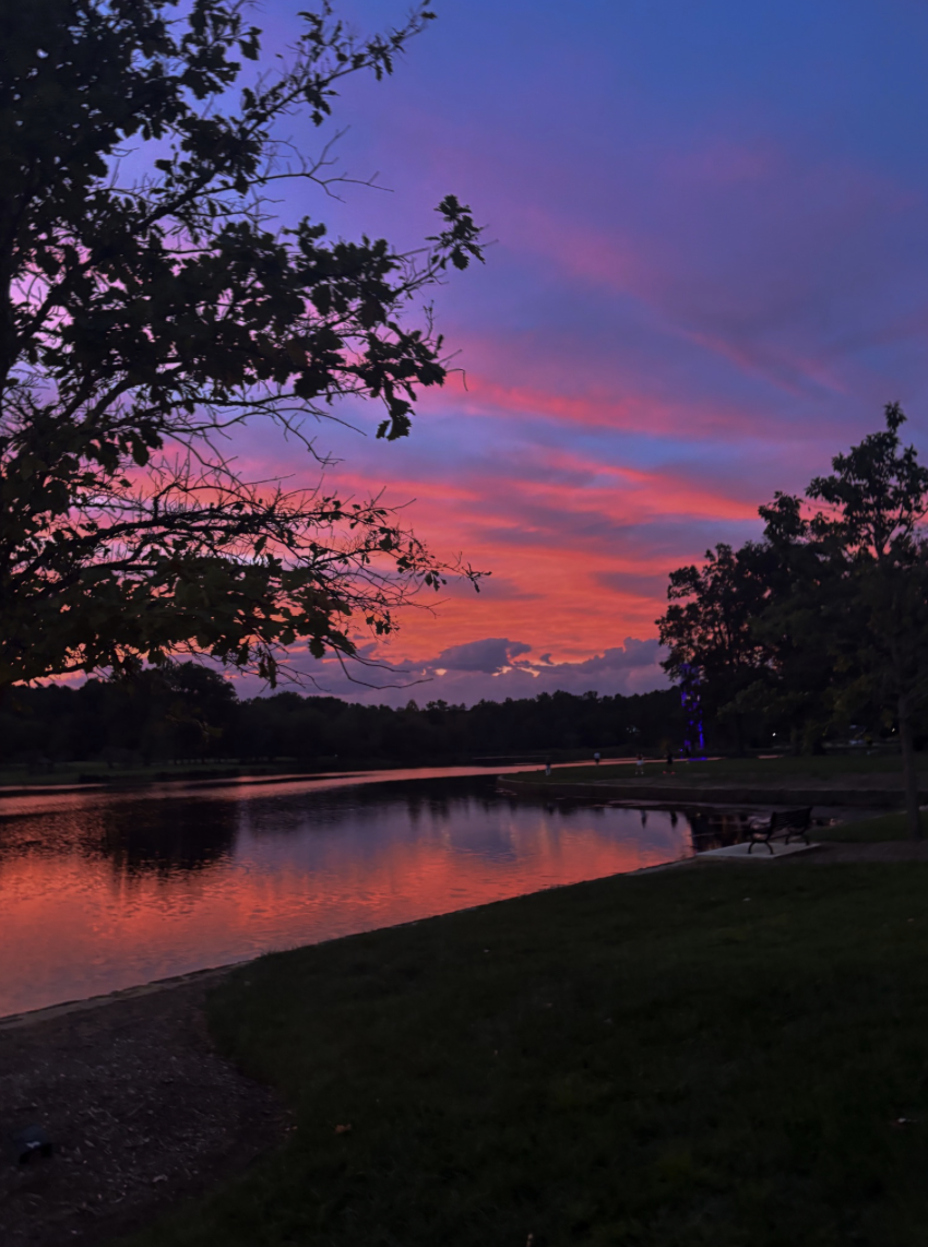 Purple and orange sunset over a quiet lake through dark branches