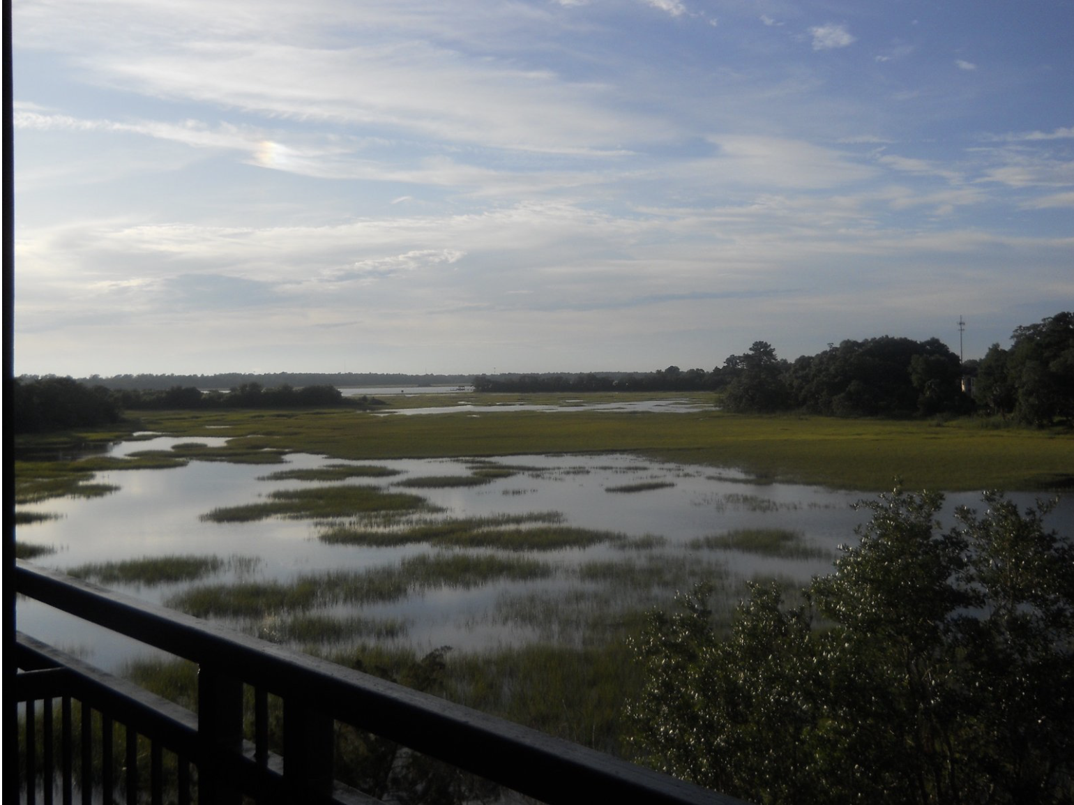Coastal marsh at dusk seen from an overlook